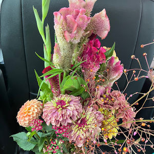 Meet your Posher, Megan